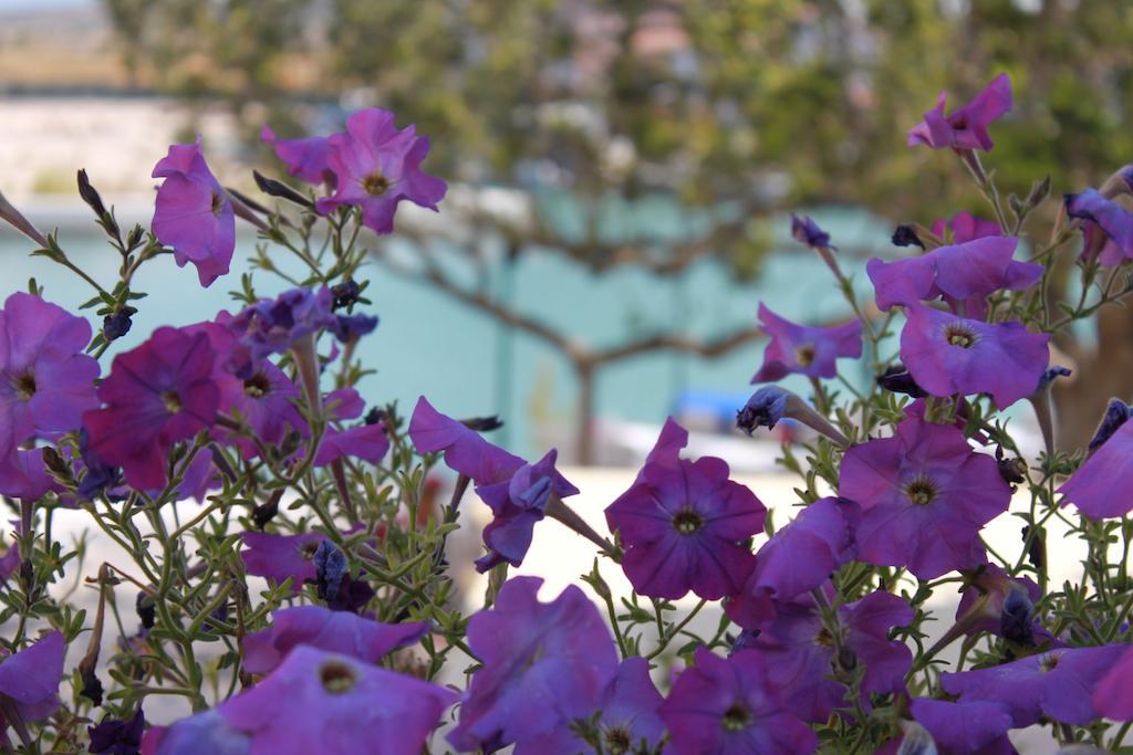 Port Villa Deniz Alacati Exterior photo